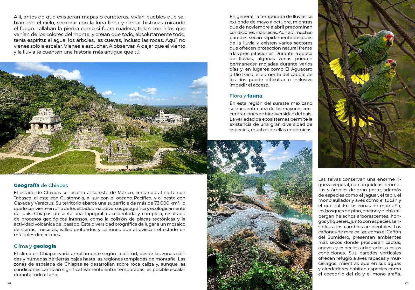 Vista previa de una página interior de la Guía de Escalada Chiapas