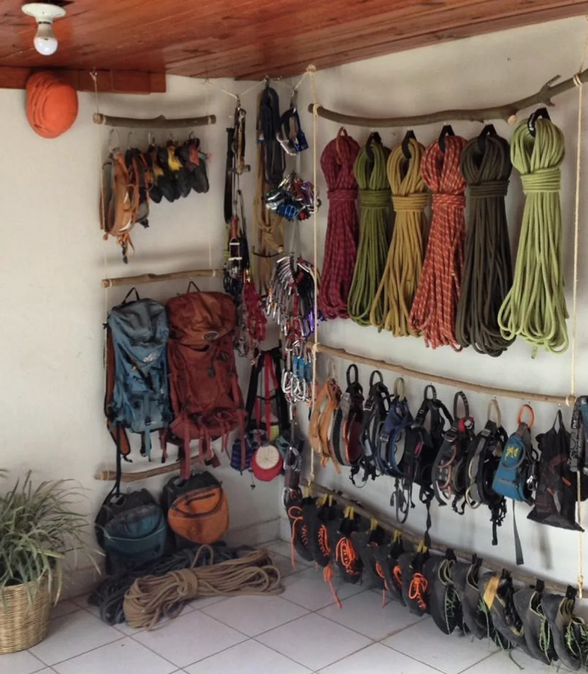 Cuerdas, arneses y zapatos de escalada organizados para renta